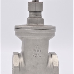 Stainless steel gate valve 2”