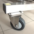 Transport Casters, stainless steel, diameter 100 mm