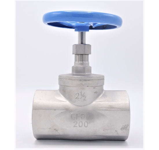 Stainless steel globe valve 2 1/2”