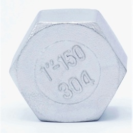 Stainless steel end cap, threaded, type 326 1"