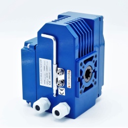 electric servomotor with mechanical control