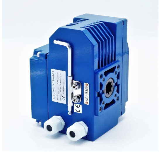 electric servomotor with mechanical control