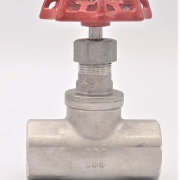 Stainless steel globe valve 1”