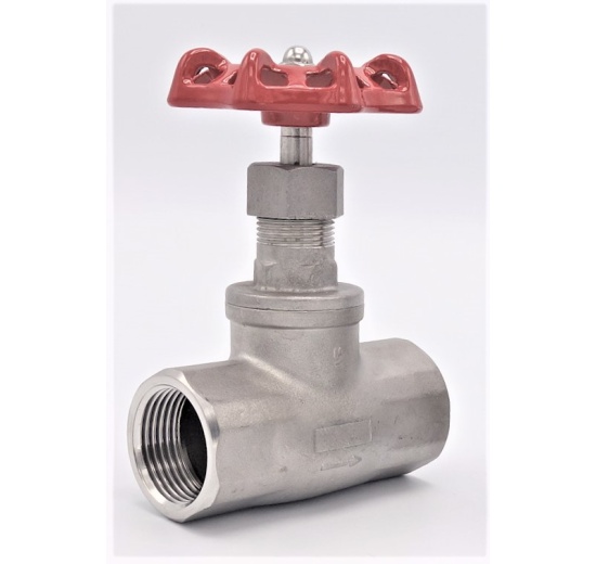 Stainless steel globe valve 1”