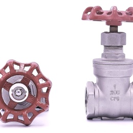 Stainless steel gate valve