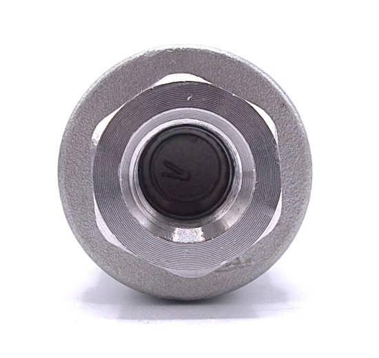 Stainless Steel Check Valve, threaded 1/4”
