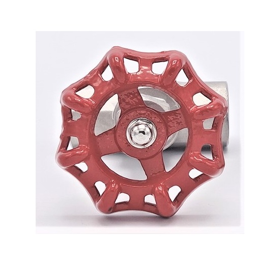 Stainless steel globe valve 3/4”