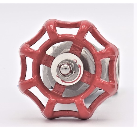 Stainless steel gate valve 3/4”