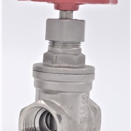 Stainless steel gate valve 3/4”