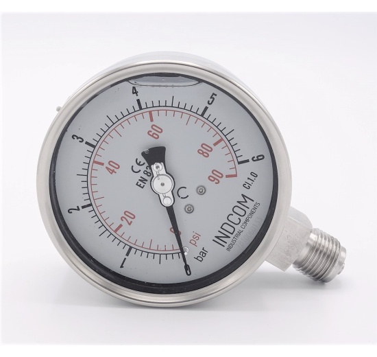 Stainless steel manometer with separating membrane DIN 11851, dial 100 mm | nut DN25
