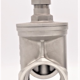 Stainless steel gate valve 2 1/2”