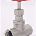 Stainless steel globe valve 3/4”