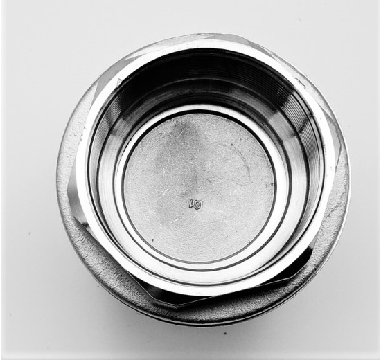 Stainless Steel Check Valve, threaded 2”