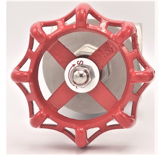 Stainless steel gate valve 2 1/2”