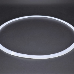 CLAMP Gasket - Silicone ASME DN 250, collar 268mm