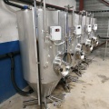 CCT 5HL tanks for beer production