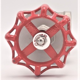 Stainless steel gate valve 3”