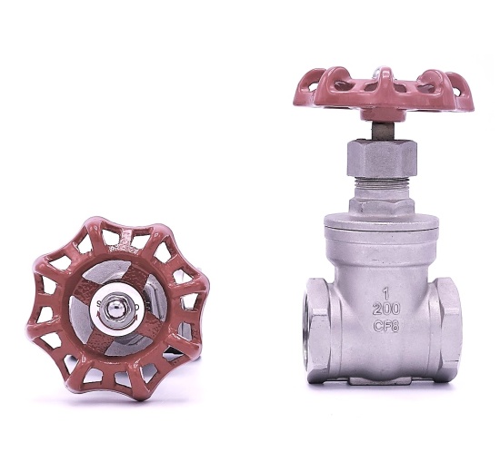 Stainless steel gate valve 1”