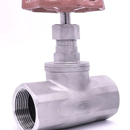 Stainless steel globe valve Stainless steel valves and fittings