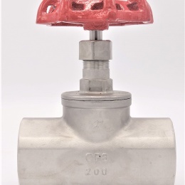 Stainless steel globe valve 2”
