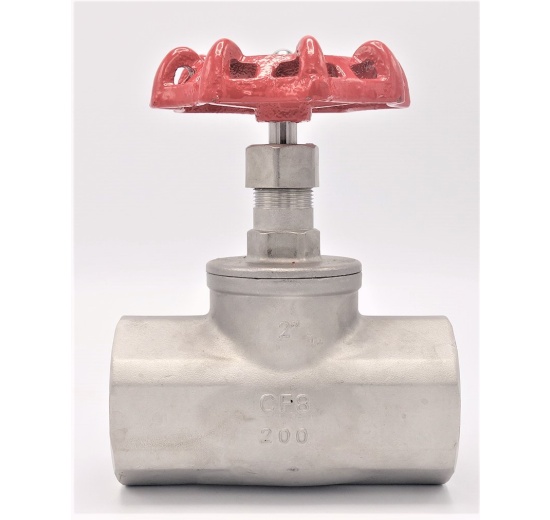 Stainless steel globe valve 2”