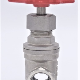 Stainless steel gate valve 1/2”