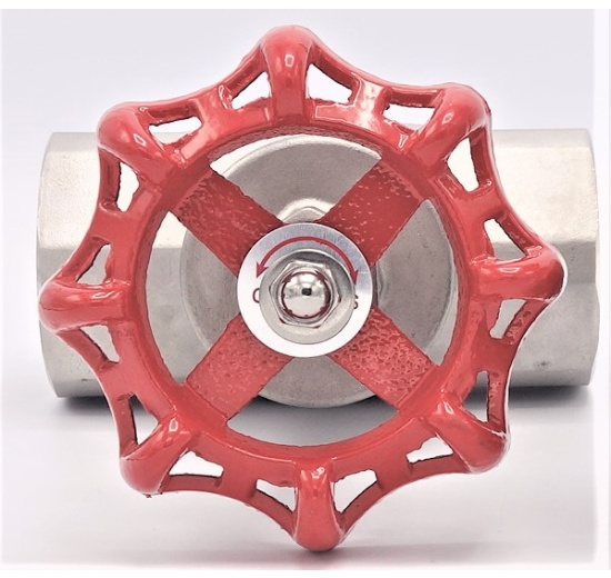 Stainless steel globe valve 2”