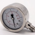stainless steel pressure gauges - the bottom connection