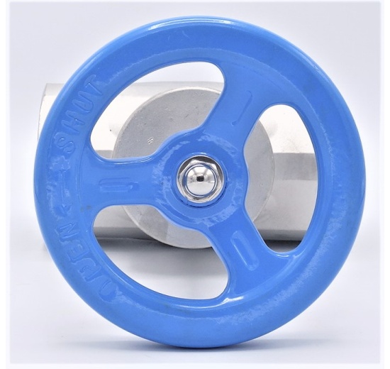 Stainless steel globe valve 2 1/2”