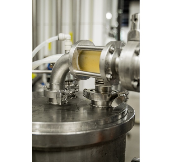 Best IPA beer with Hops Master 300