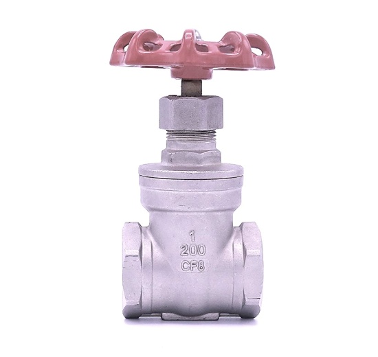 Stainless steel gate valve 1”