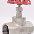 Stainless steel globe valve 2”