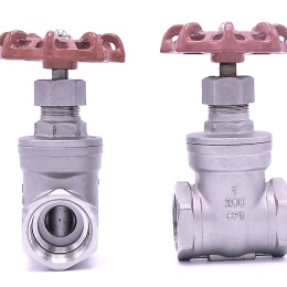 Stainless steel gate valve