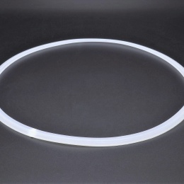 CLAMP Gasket - Silicone ASME DN 250, collar 268mm