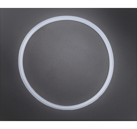 CLAMP Gasket - VMQ ASME DN 200 (K217)