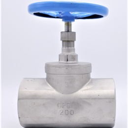Stainless steel globe valve 3”