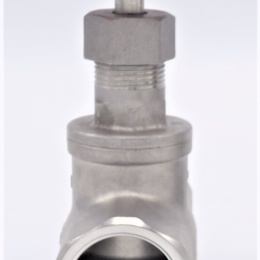 Stainless steel globe valve 1”