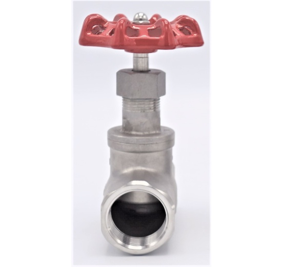 Stainless steel globe valve 1”