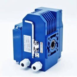 electric servomotor with mechanical control