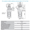 Filter with pressure reducing valve and a protective basket, G 1/2", up to 10 bar, catalog sheet