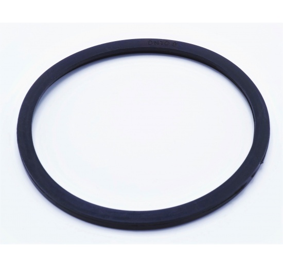 Gasket EPDM for Union Male Standard DIN11851 EPDM, DN100
