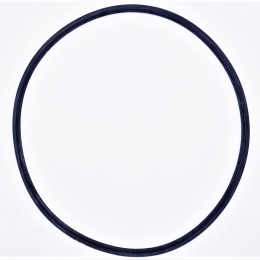 gasket from material ethylene-propylene DN 300 for Clamp collar 319 mm