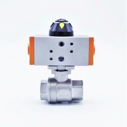 Pneumatic drive, double acting