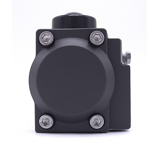 Pneumatic drive, double acting