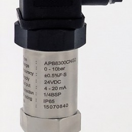 Relative pressure transmitter, 1/4" BSP, 24VDC Relative pressure 0-10 bar