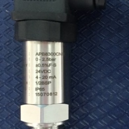 Relative pressure transmitter, connection 1/2" BSP, 24VDC