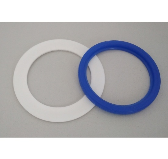 Spare Gasket For Union Sight Glass | DN100
