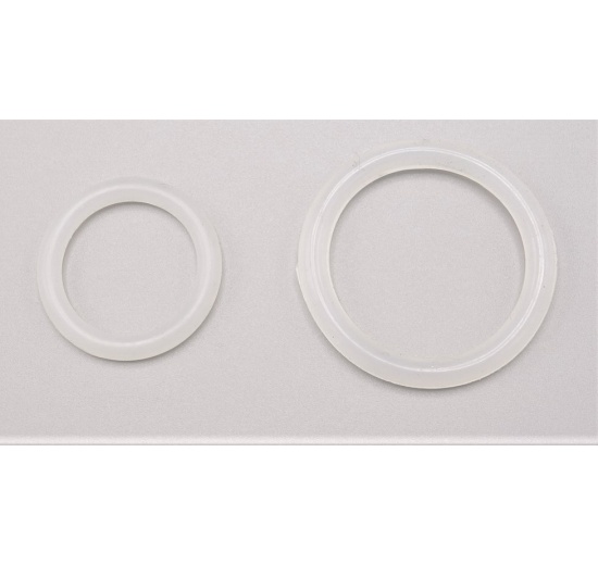 Spare Gasket (O-ring) For Stainless Steel Check Valves Welded, CLAMP | DN50