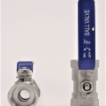 Stainless Steel Ball Valve With Reduced Bore, One-piece, Threaded  3/4”