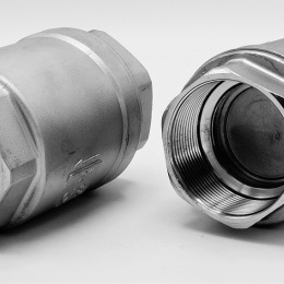 Stainless Steel Check Valve, threaded 2”